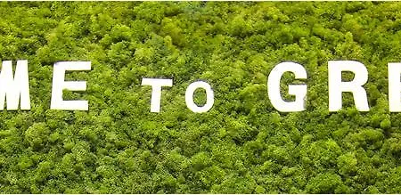 Greenslo 아파트 *