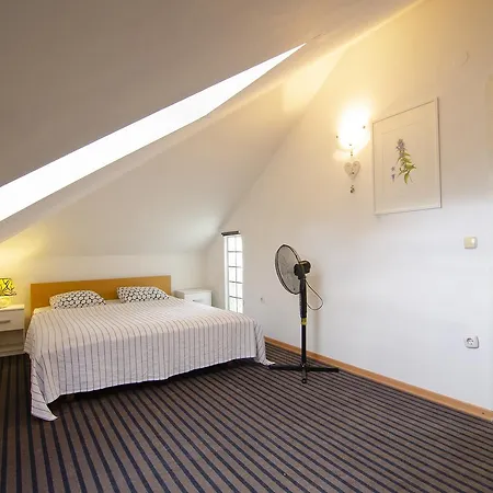 Greenslo Apartman *
