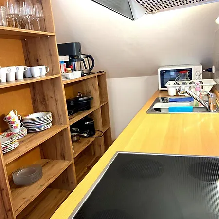 Greenslo 公寓 卢布尔雅那